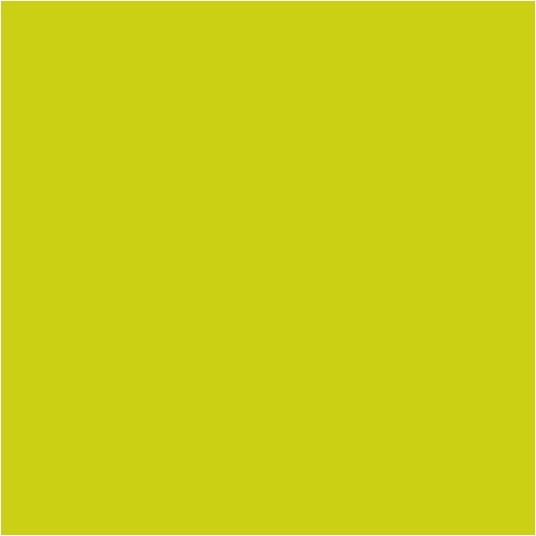 Serwetka TISSUE - Limonka 160094 - 33x33 cm - 125 szt. -zdjęcie numer 3