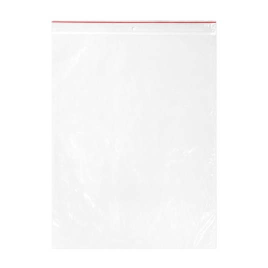 Torebki strunowe zapinane 250 x 300 mm - 100 szt. -zdjęcie numer 1